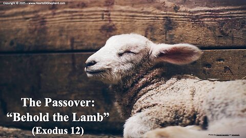 The Preparation for the Passover and the Tenth Plague (Exodus 12) from www.HeartofAShepherd.com.