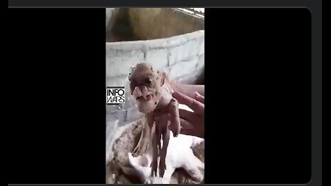 Another video of a human animal Hybrid leaked? Part human and part???