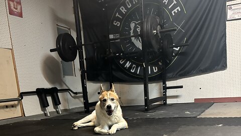 Ssb front squat