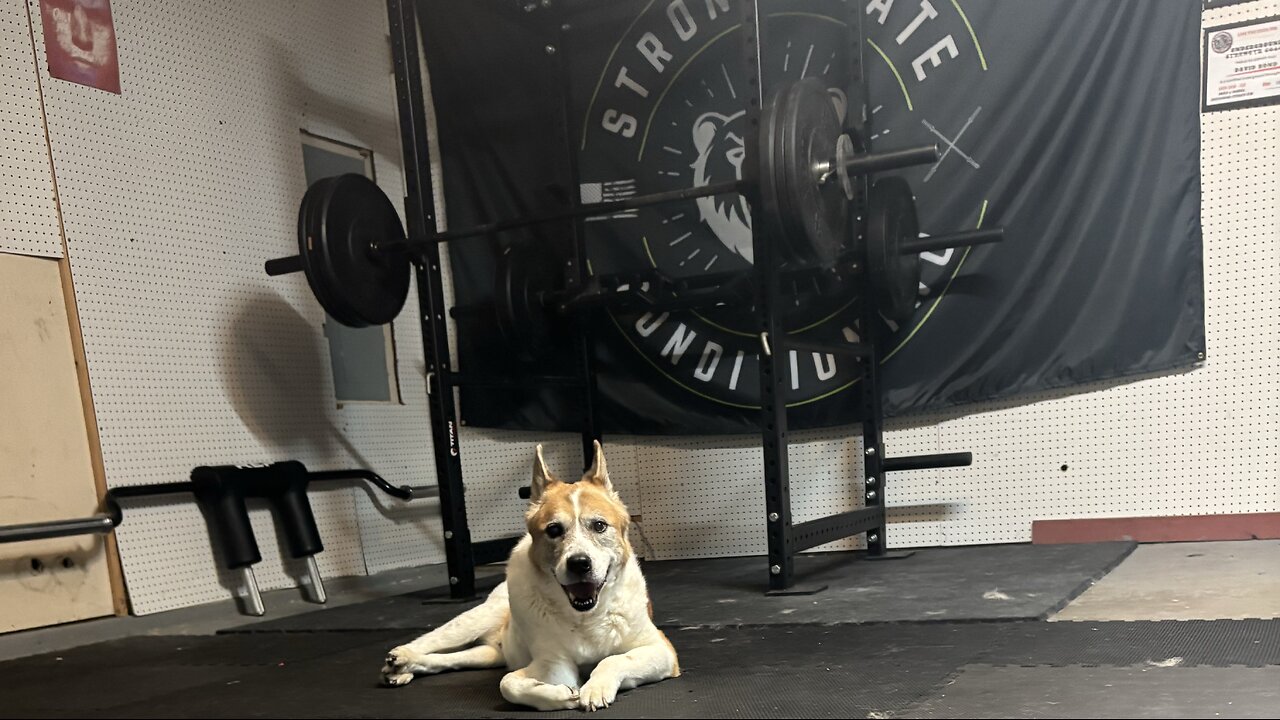 Ssb front squat