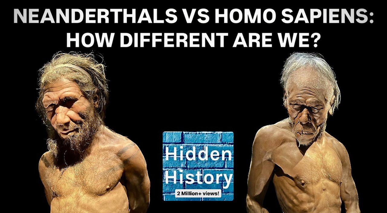 Neanderthals and modern humans ‘must be classed as separate species’ say experts