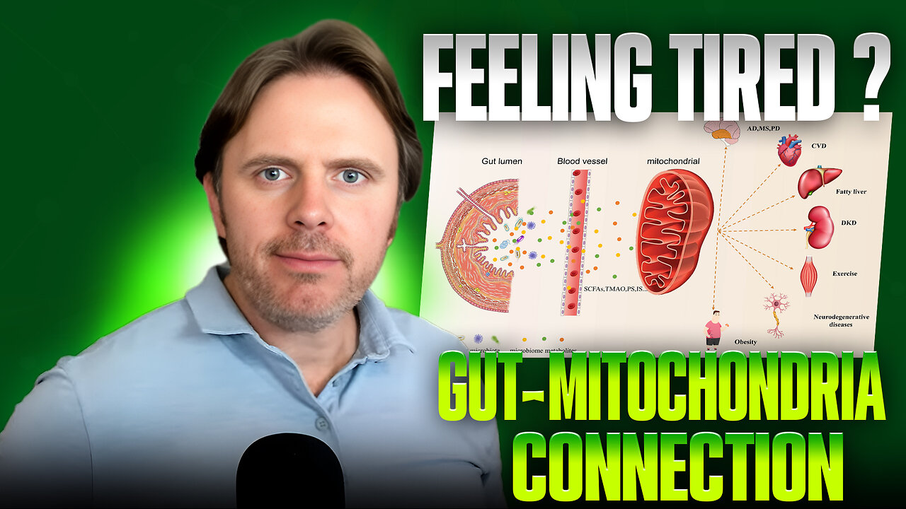 Why You’re Always Tired – The Gut-Mitochondria Connection!