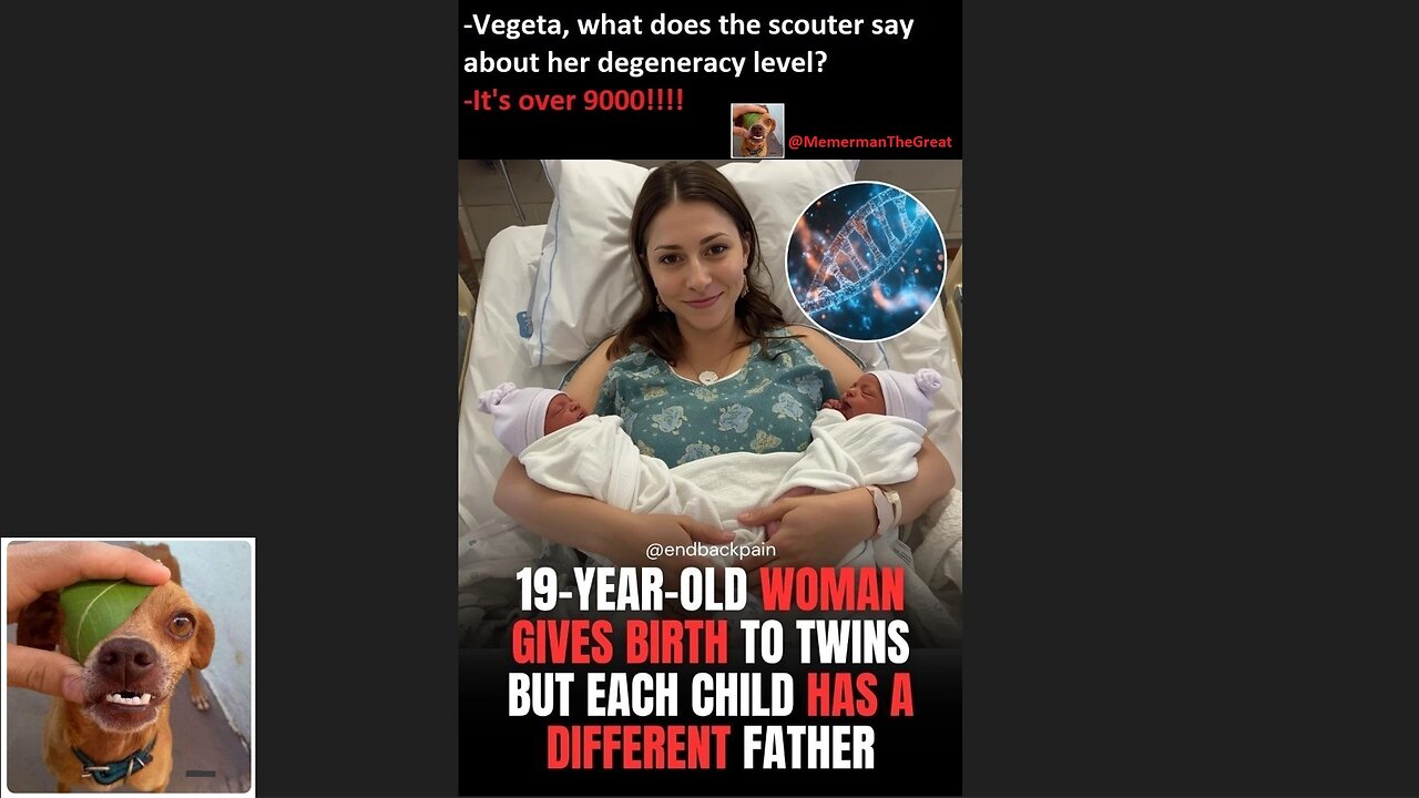 Memes That Will 99.0465% Make You Laugh. (e689)