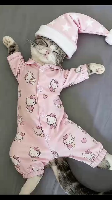 You can look at cats endlessly, finding comfort, inspiration, and meaning in them.