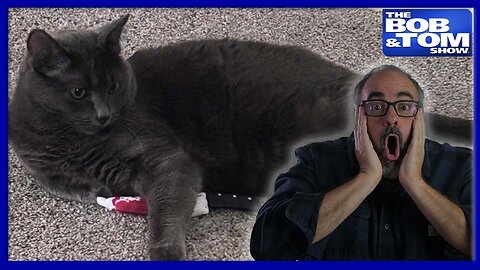 Josh’s Cat Is Talking Again?! Comedian Gianmarco Soresi Joins the Show