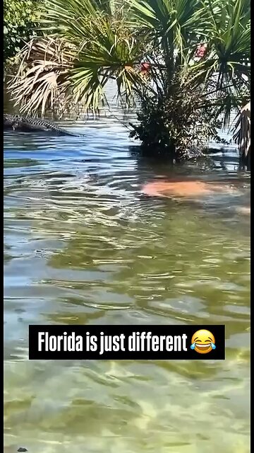 Florida is just different 😅😂