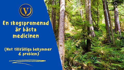 En skogspromenad är bästa medicinen (mot tillfälliga bekymmer & problem)