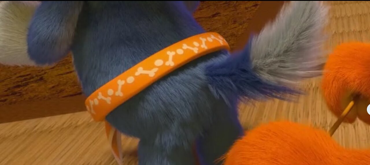 Different type of things Paw use to wh00p U