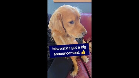 Maverick's got a big announcement.