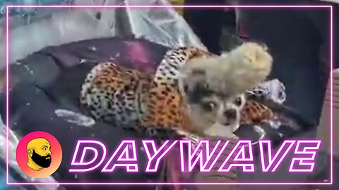 Episode 1677: Party Bois