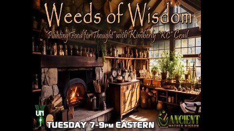 3I-ATLAS, THE MULTIVERSE AND WHAT'S HAPPENING