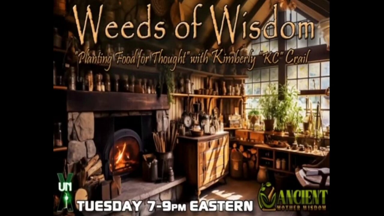 3I-ATLAS, THE MULTIVERSE AND WHAT'S HAPPENING