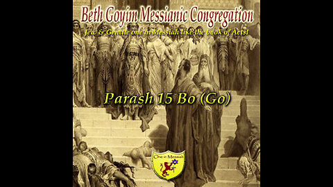 BGMCTV P068 Parash 15 Bo Sh’mot/Exodus 10:1-13:16