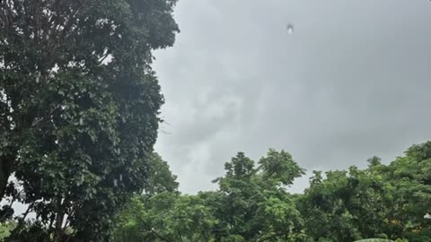 Heart-Pounding Hurricane Experience!