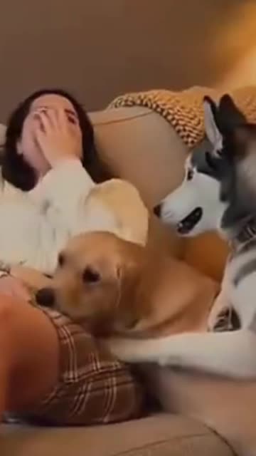 My Dog 🤣 Funny 😂 Moje Smesno Kuce :D