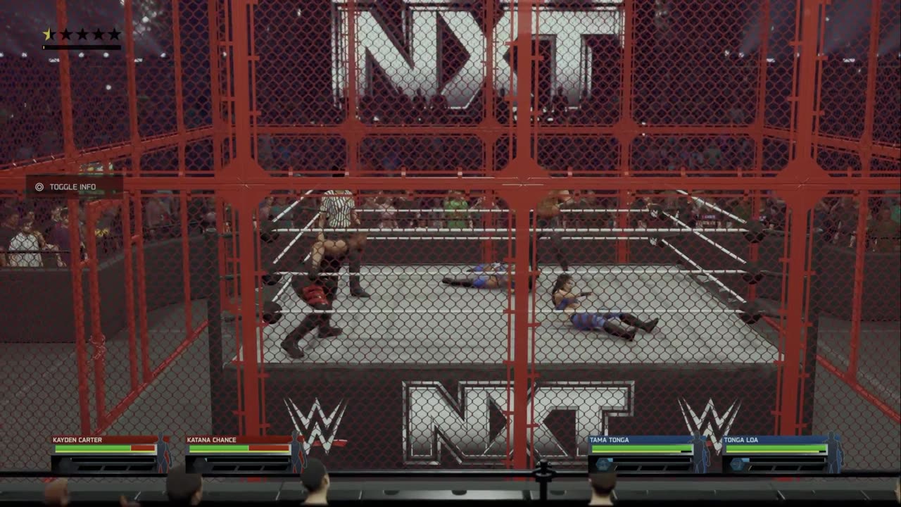 wwe 2k25 40 universe mode Two on Two Hell In a Cell