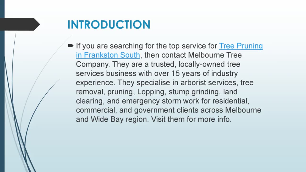 Best Tree Pruning in Frankston South