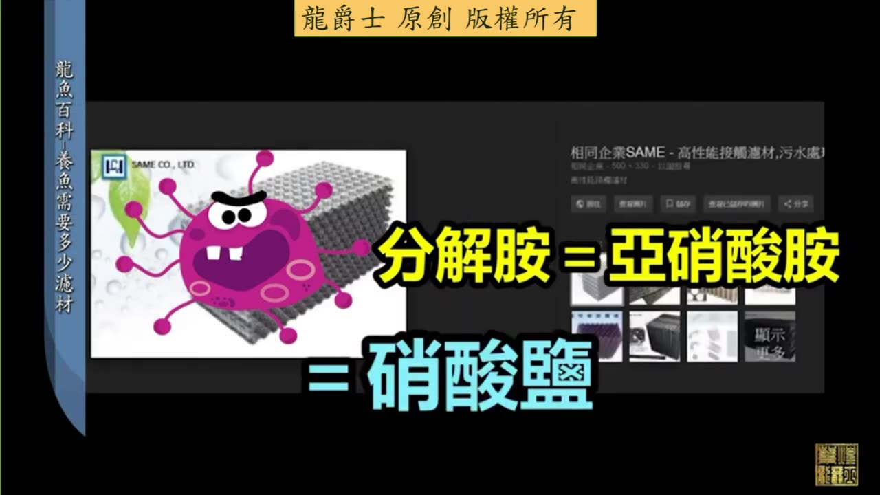 【龍爵士】水族百科 養魚需要多少濾材