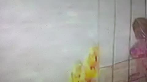 Wtf is up with minora or vagina