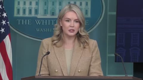 Karoline Leavitt calls out NY Times report for questioning Trump's health