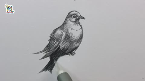 How to draw Pigeon Bird with Pencil sketching and shading || Easy bird art