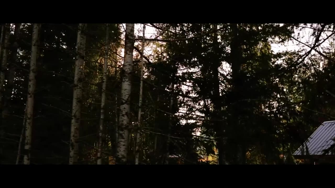 Wedding video editor