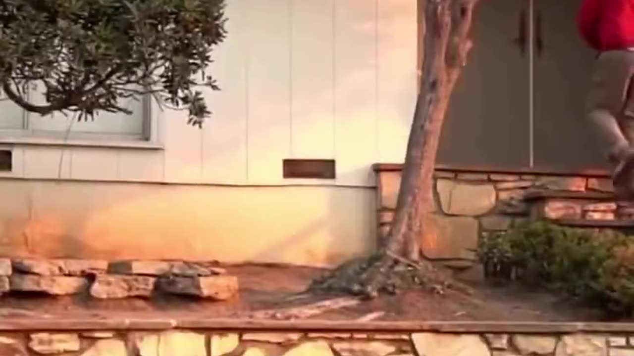 Had people just stayed home and protected their homes with a garden hose they'd still have homes
