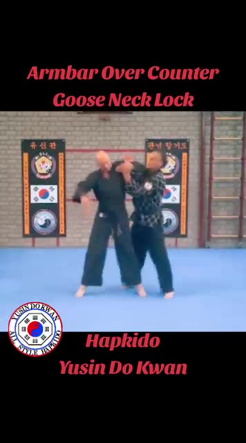 Hapkido