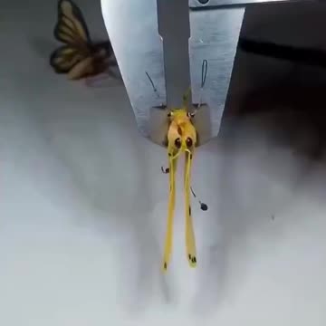 The future of spying is smaller than you think. Micro-drones are here.