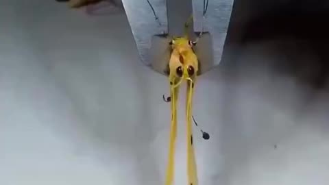 The future of spying is smaller than you think. Micro-drones are here.