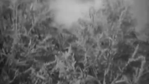 Hemp For Victory - 1942 - Department of Agriculture