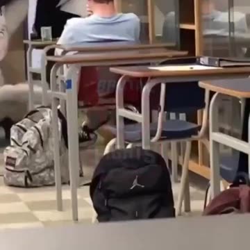 Blacks atracks White child