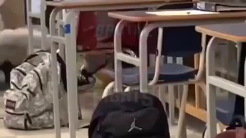 Blacks atracks White child