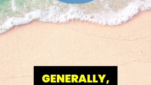 What is the Payout Ratio of a Stock?