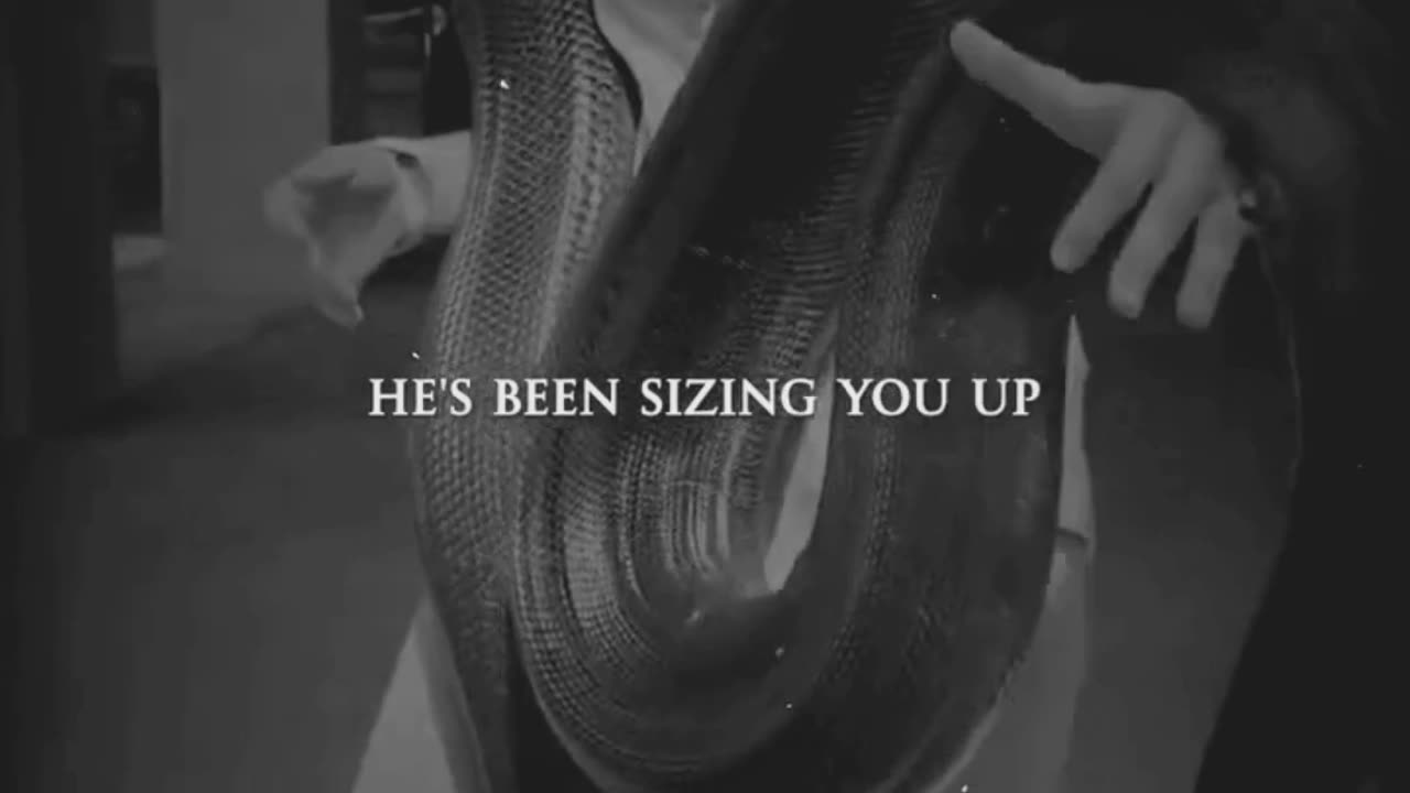 The Snake that wasn't really your pet