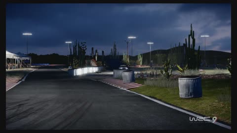 WRC9 (Ps5) Race9