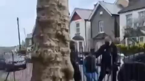 A park in Kingston allegedly turned into a mosque and prayer ground.