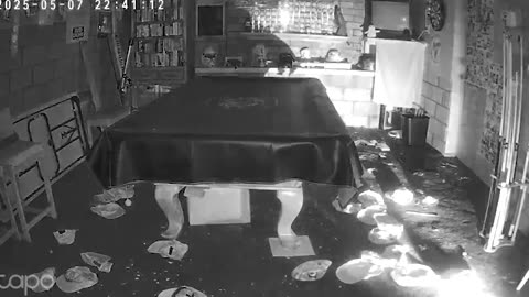 Rat Decorates Basement With Hats