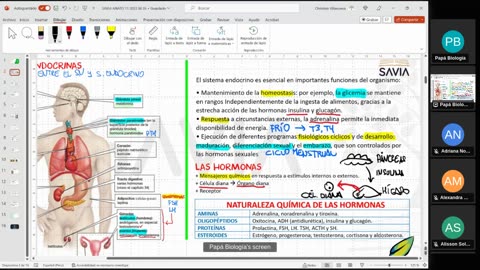 SAVIA SEMIANUAL 2024 | Semana 11 | Anatomía