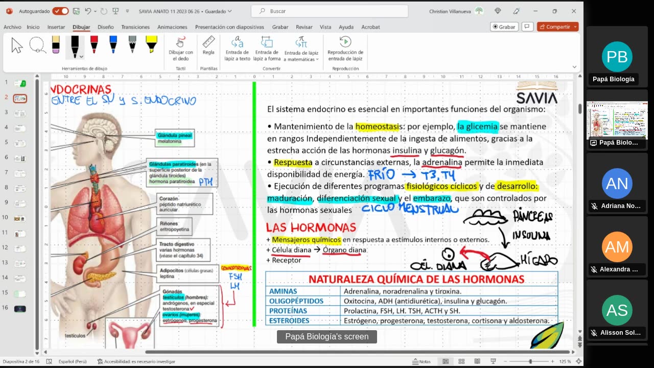SAVIA SEMIANUAL 2024 | Semana 11 | Anatomía
