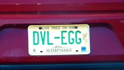 License Plate