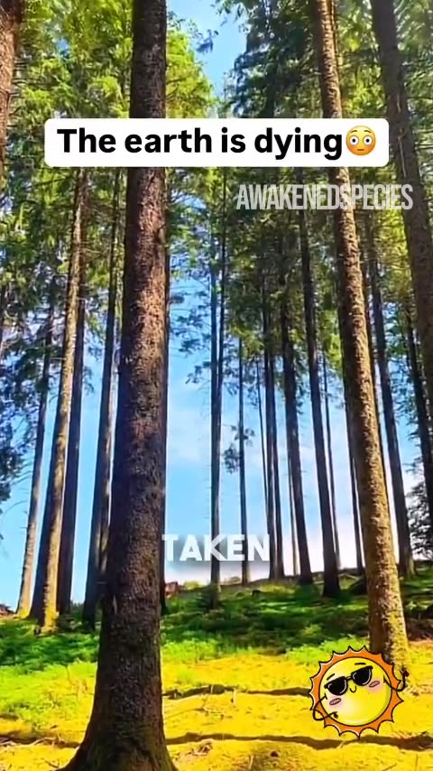 100% this is not normal