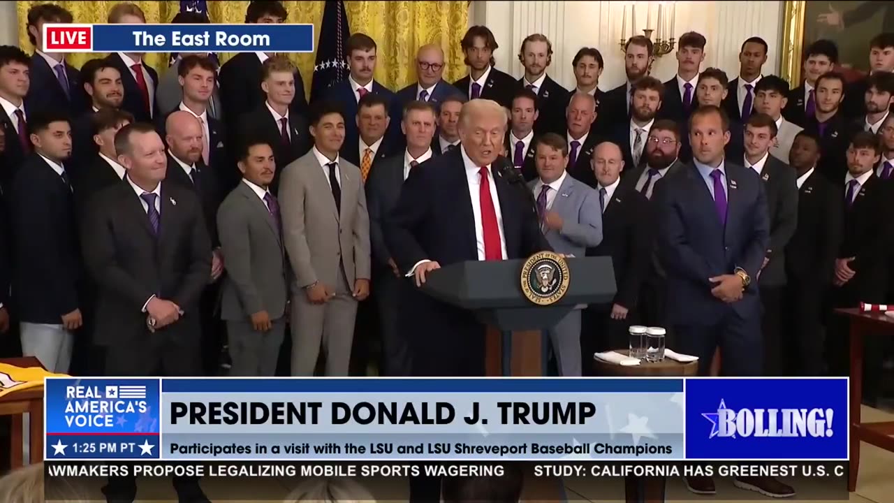 NAIA BASEBALL CHAMPIONS—THE LSU SHREVEPORT PILOTS