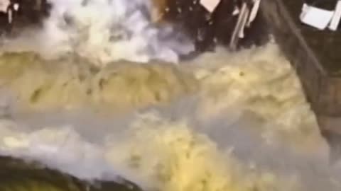 БЕЛГОРОДСКОТО ХРАНИЛИЩЕ СЕ СРИНА