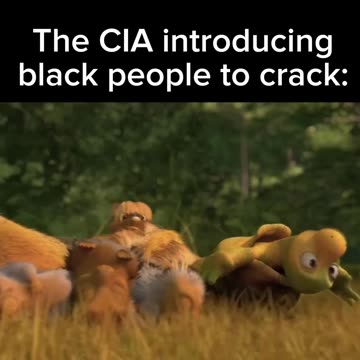 Brought to You By C I A ☠️