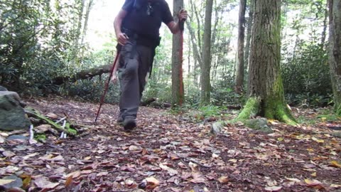 Backpacking the Lewis Fork Loop/Mt. Rogers NRA