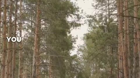 #bible study with #jairus #acts 9 The Beautiful Structure of God’s Word