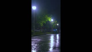 Golden Veins – warmth running through silence.