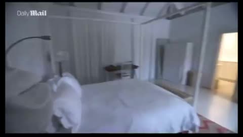 🟢 New Epstein Island Footage Released