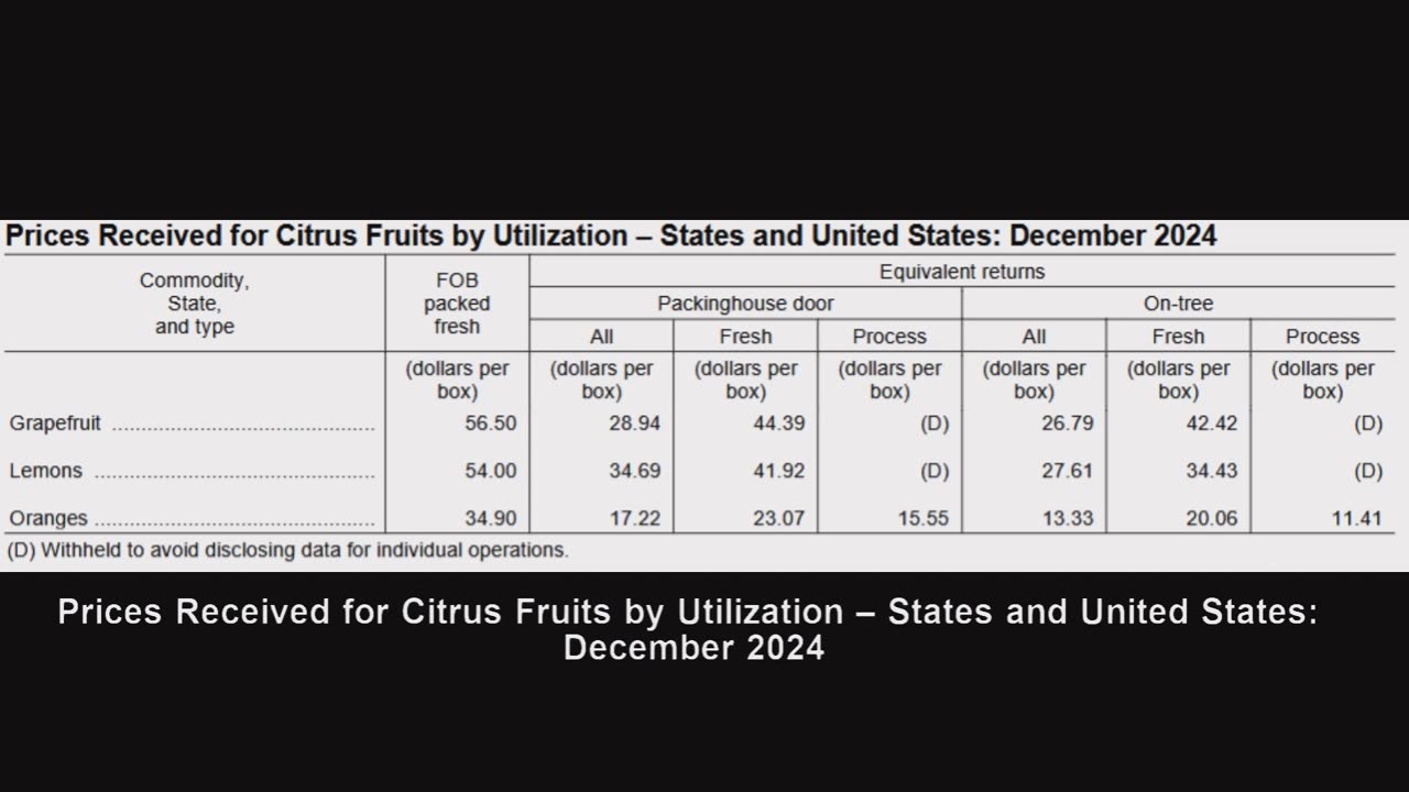 How has the price of Citrus Fruits changed in the USA in 2024?